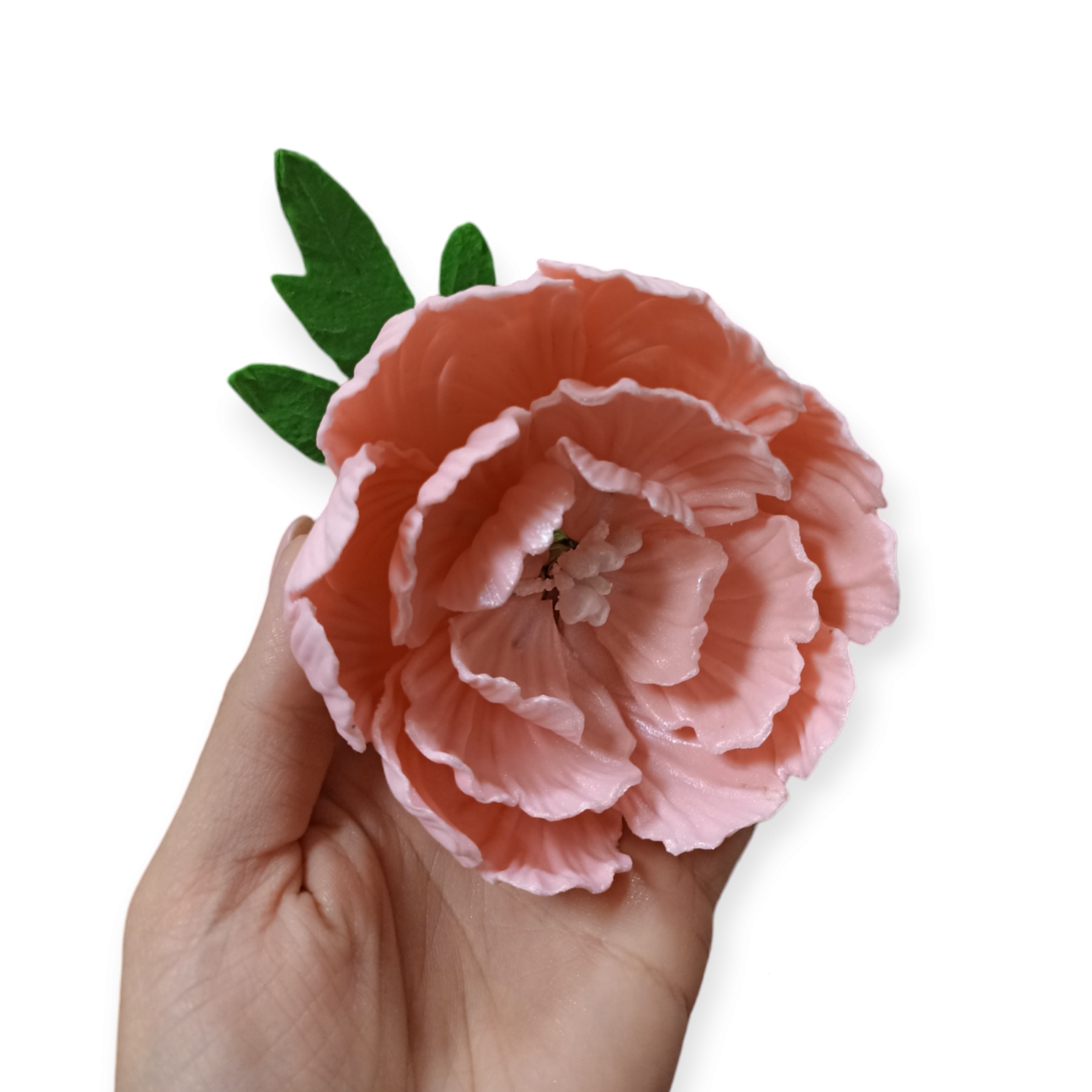 Božur cvet - Svetlo roze / Slanje na odgovornost kupca!
