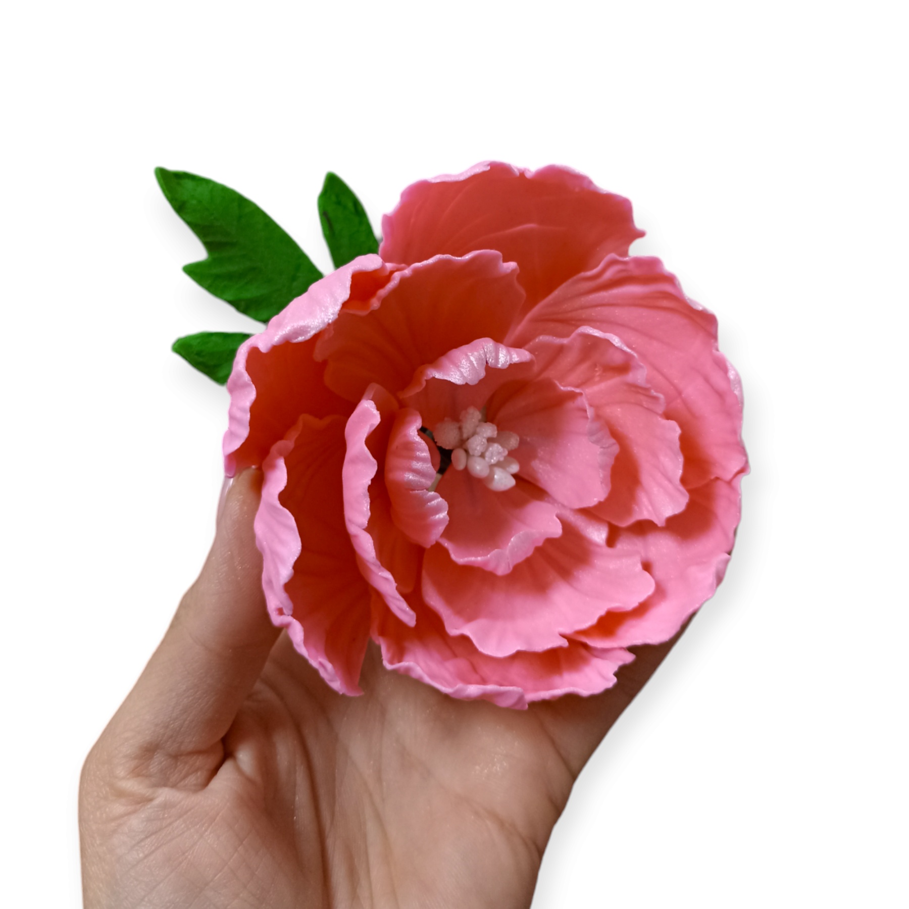 Božur cvet - roze / Slanje na odgovornost kupca!