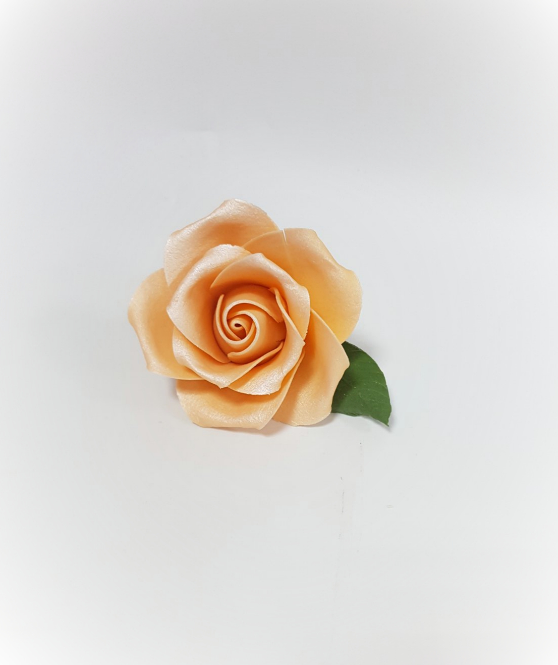 Ruža cvet - Kajsija / Slanje na odgovornost kupca!