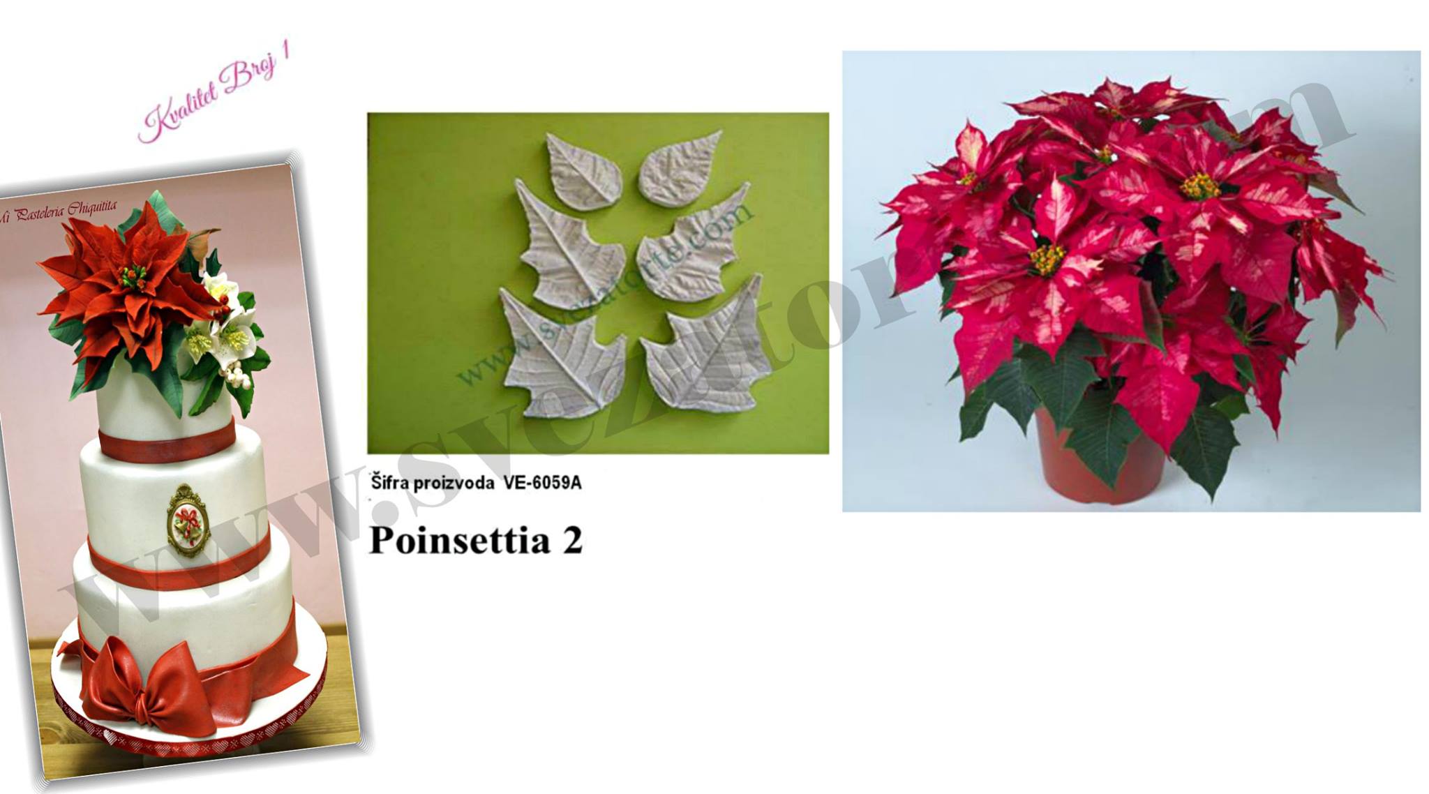 Set Listova i Latica Božićna zvezda (Poinsettia)